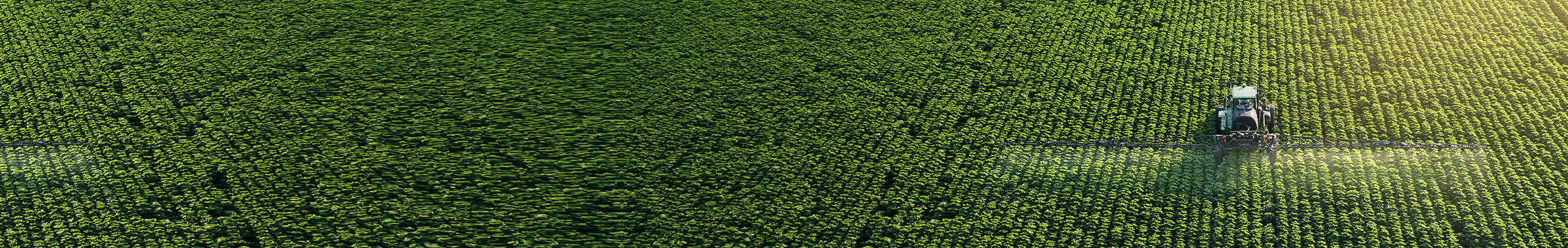 Aerial view of farmland