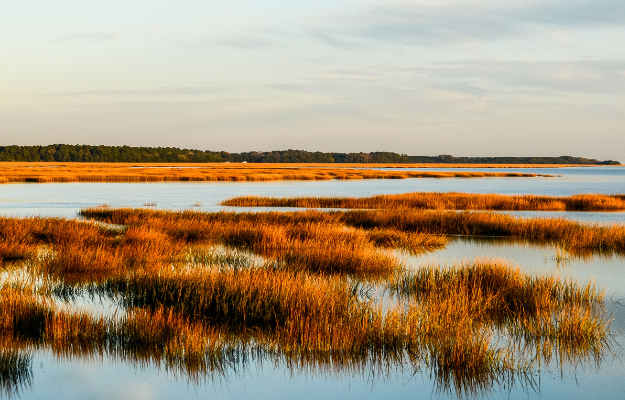 aerial panoramic sunset sunrise scene at swamps and wetlands in South Carolina