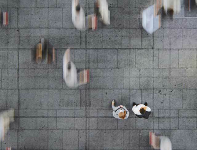 aerial shot people walking fast to cross the road at a crosswalk