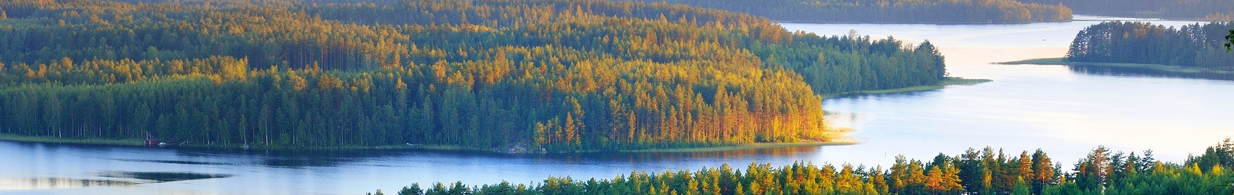 wetlands landscape